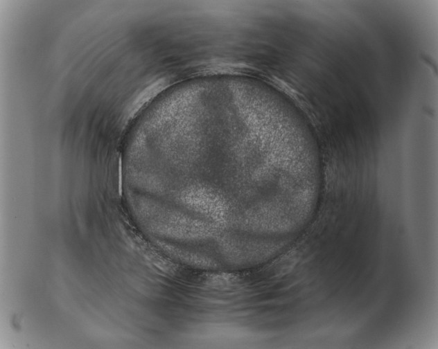 X0000102341219200808221623