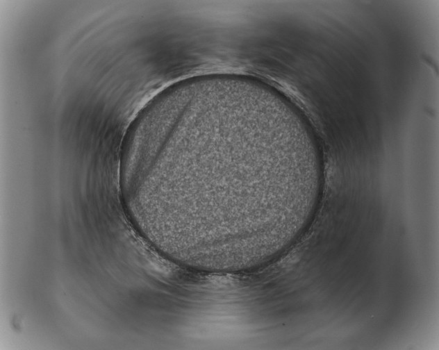 X0000102341220200808221623