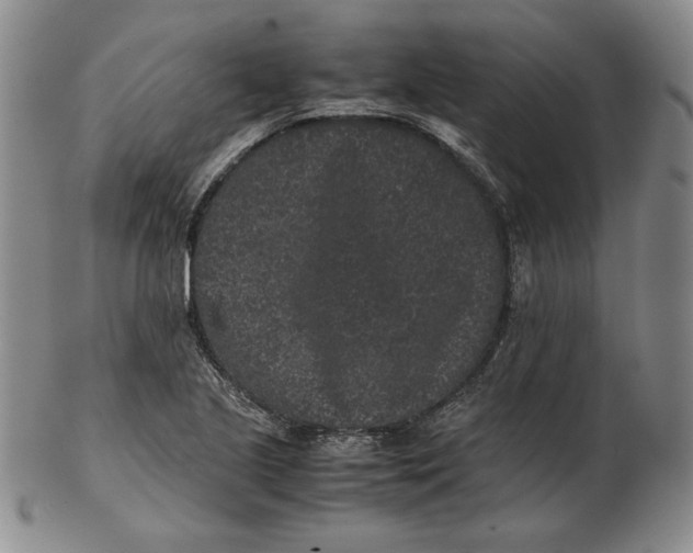 X0000102341221200808221623