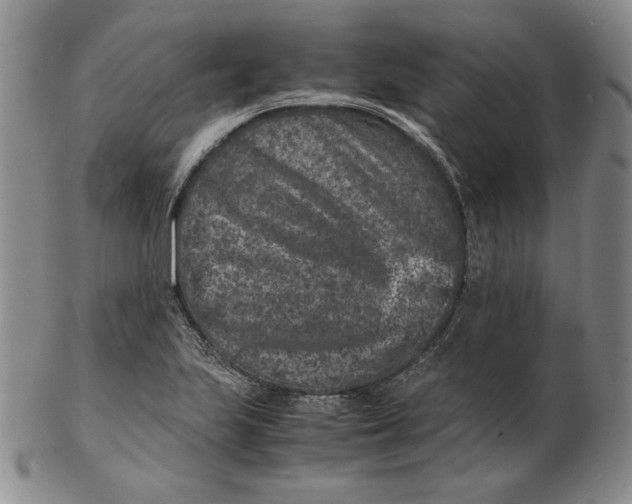 X0000102341223200808221623