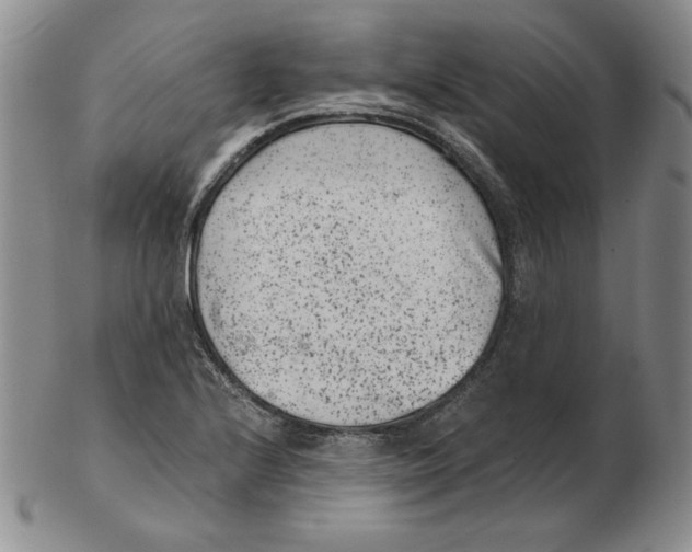 X0000102341224200808221623