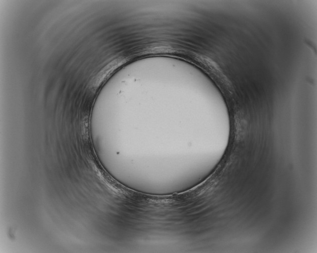 X0000102341225200808221623