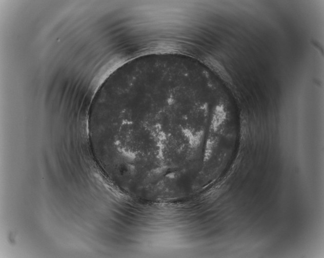 X0000102341226200808221623