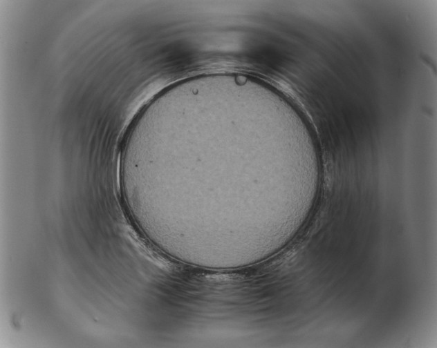 X0000102341227200808221623