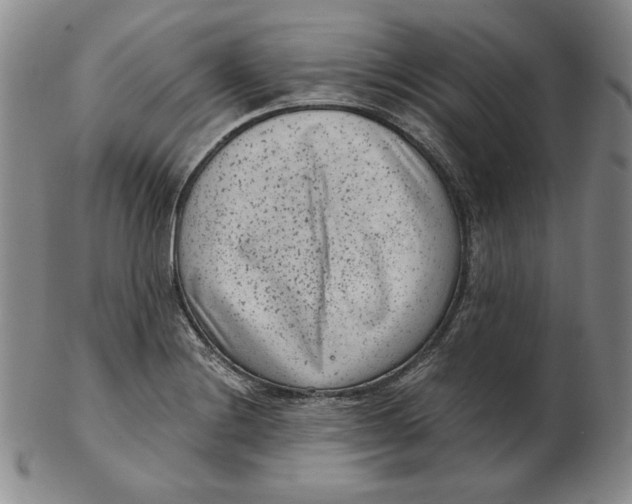 X0000102341228200808221623