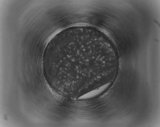 X0000102341229200808221623