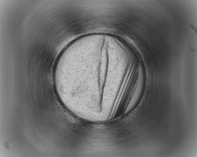 X0000102341230200808221623