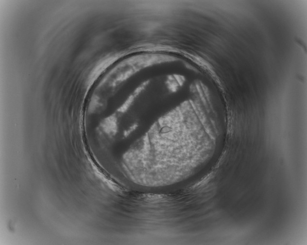 X0000102341231200808221624