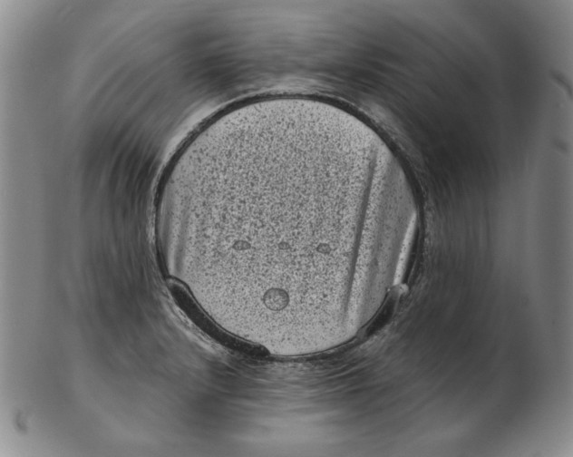 X0000102341232200808221624