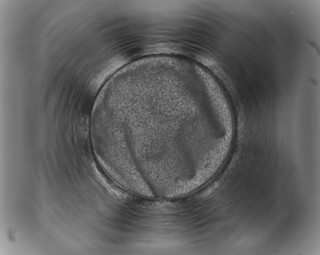 X0000102341233200808221624