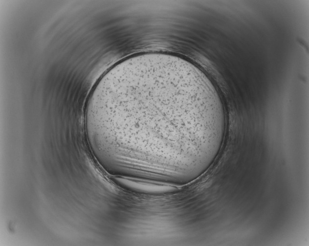 X0000102341234200808221624