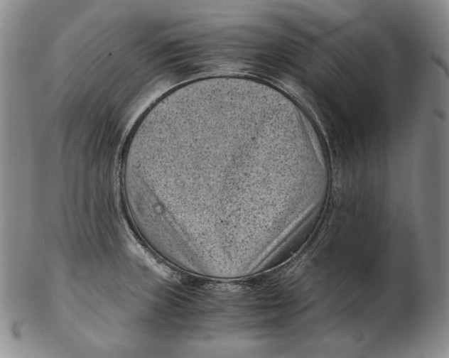 X0000102341235200808221624