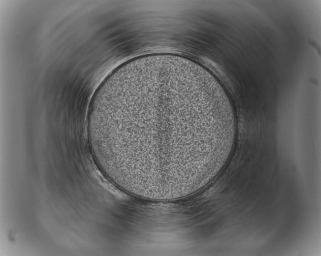 X0000102341236200808221624