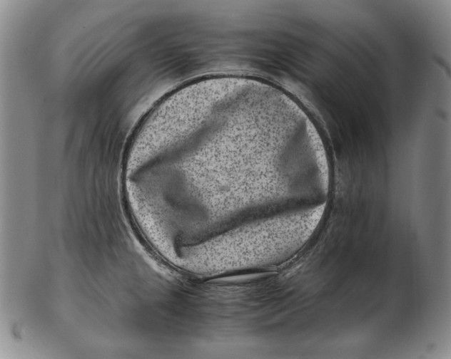 X0000102341237200808221624