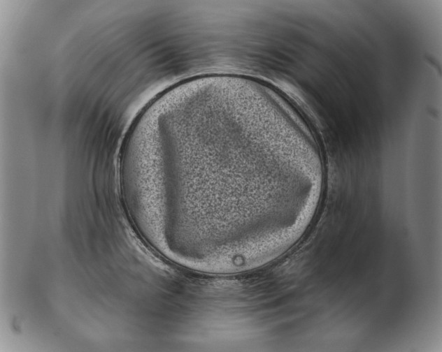 X0000102341238200808221624