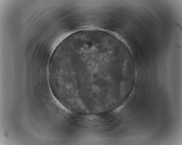 X0000102341239200808221624