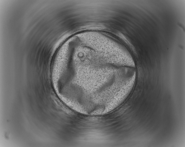 X0000102341240200808221624