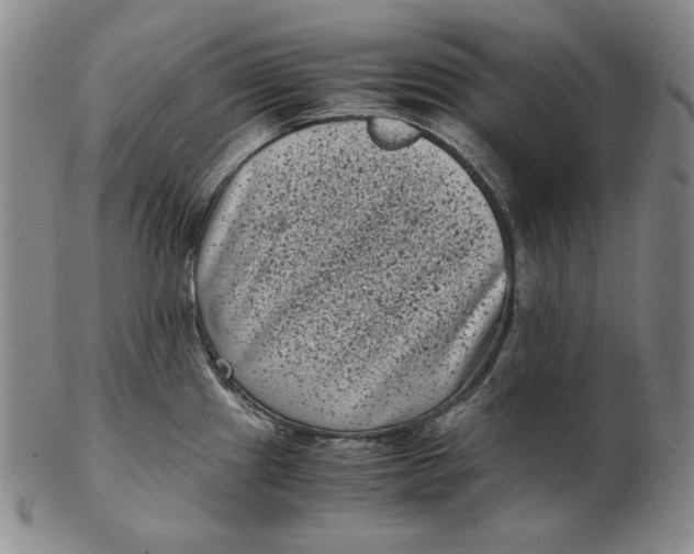 X0000102341241200808221624