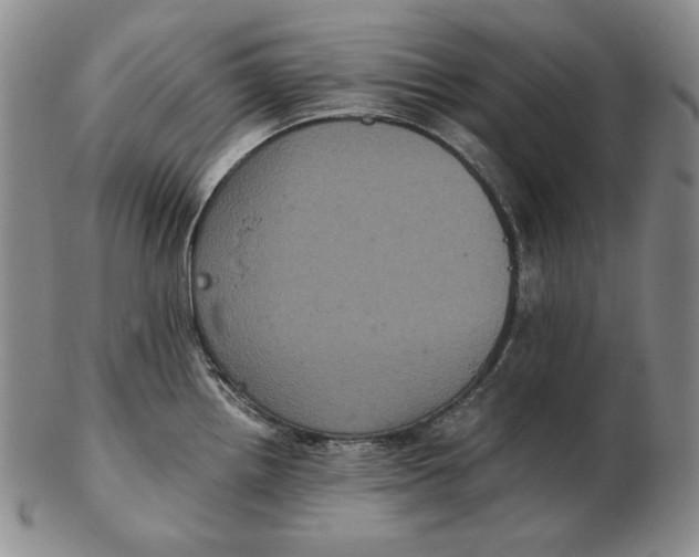 X0000102341242200808221624