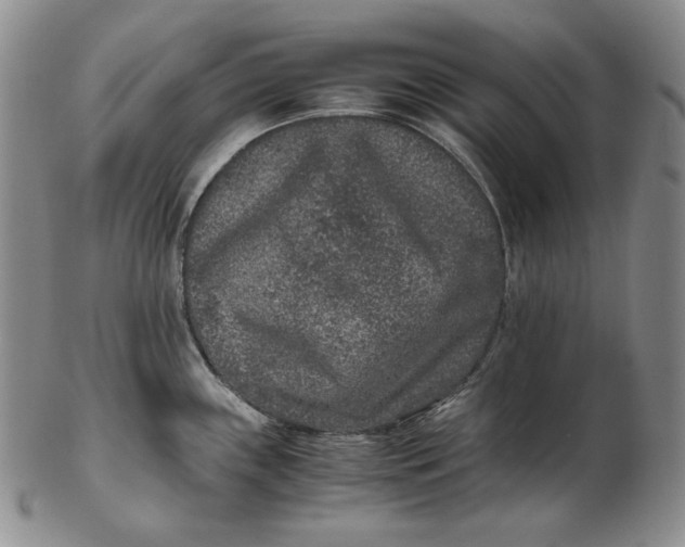 X0000102341243200808221624