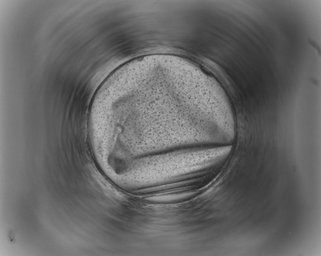 X0000102341244200808221624