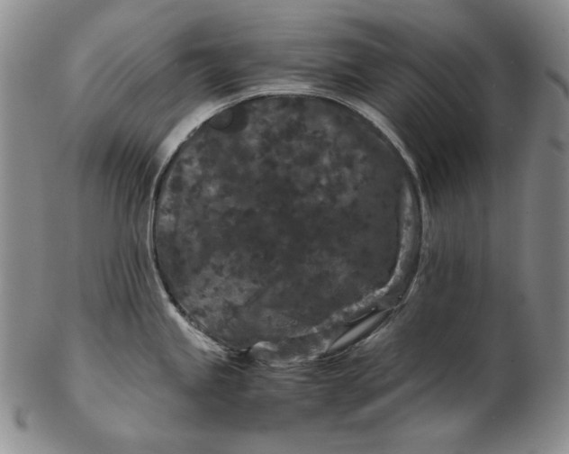 X0000102341245200808221624