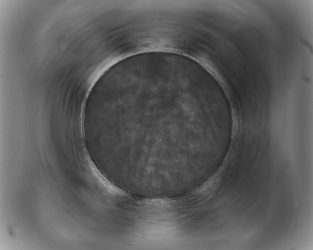 X0000102341246200808221624