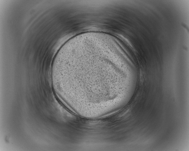 X0000102341247200808221624