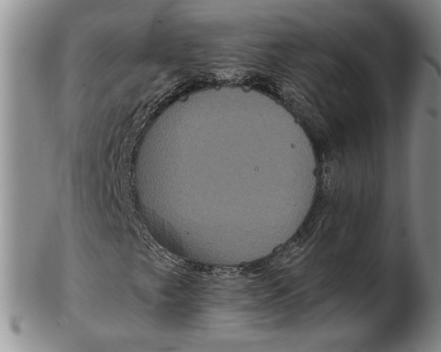 X0000102341249200808221623