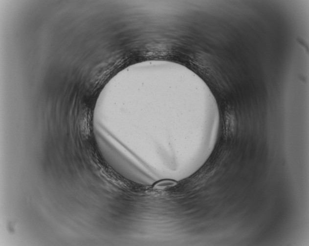 X0000102341250200808221623