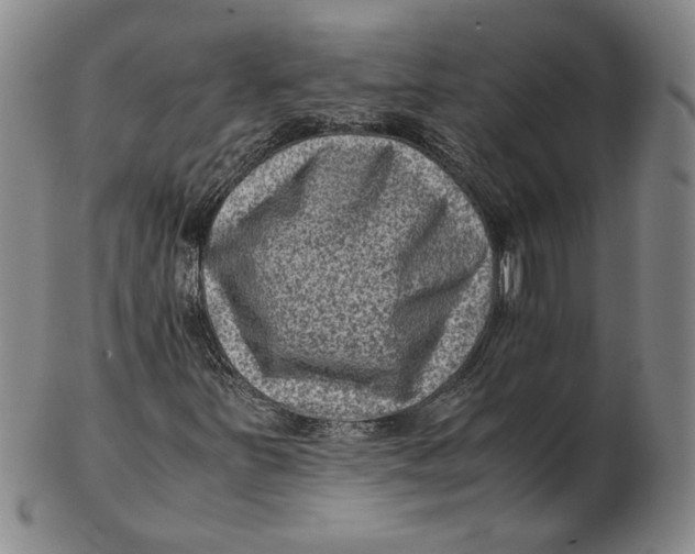 X0000102341251200808221623