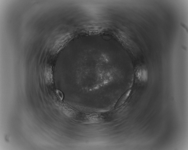 X0000102341252200808221623