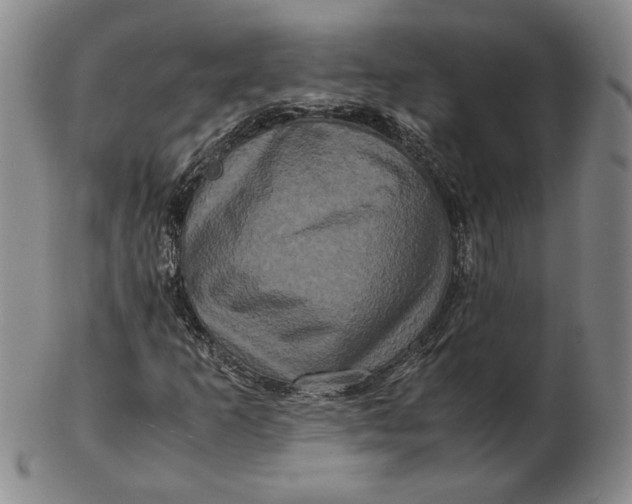 X0000102341253200808221623