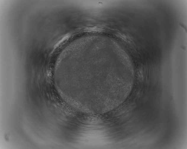 X0000102341254200808221623