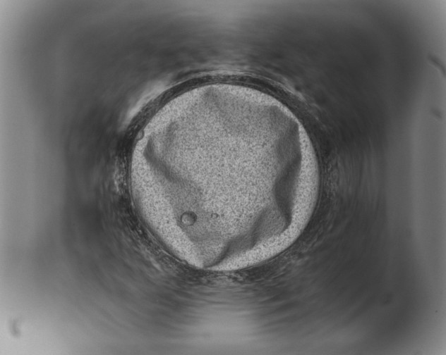 X0000102341255200808221623