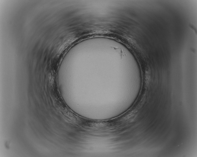 X0000102341257200808221623