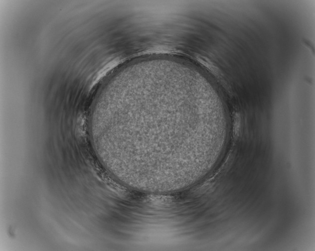 X0000102341258200808221623