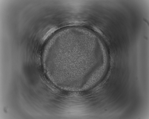 X0000102341259200808221623