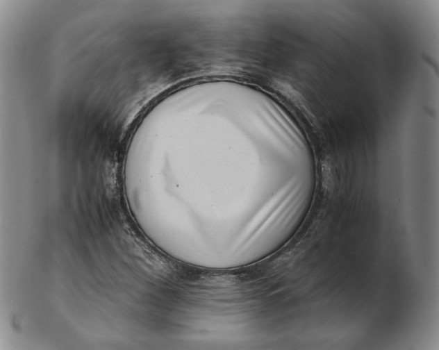 X0000102341260200808221623