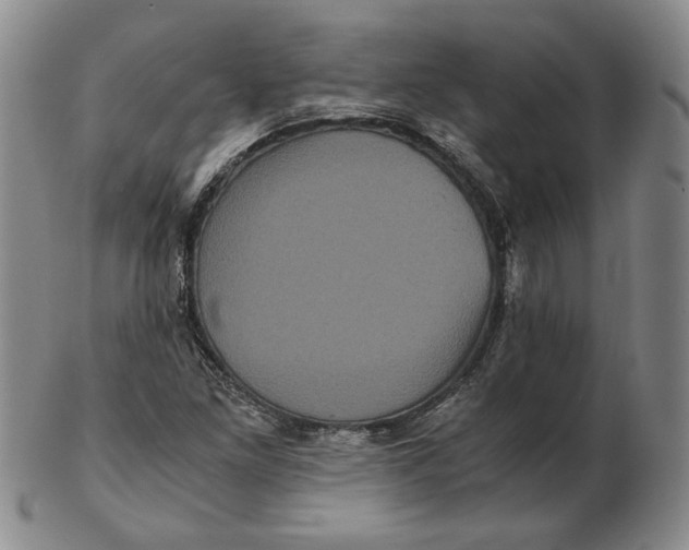 X0000102341261200808221623