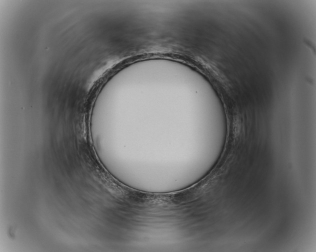 X0000102341262200808221623