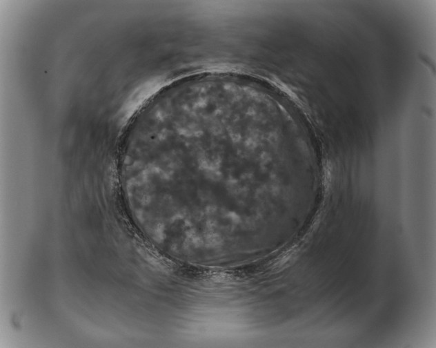 X0000102341263200808221623