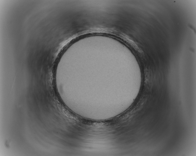 X0000102341264200808221623