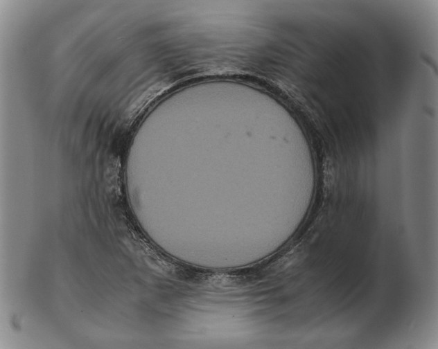 X0000102341265200808221623