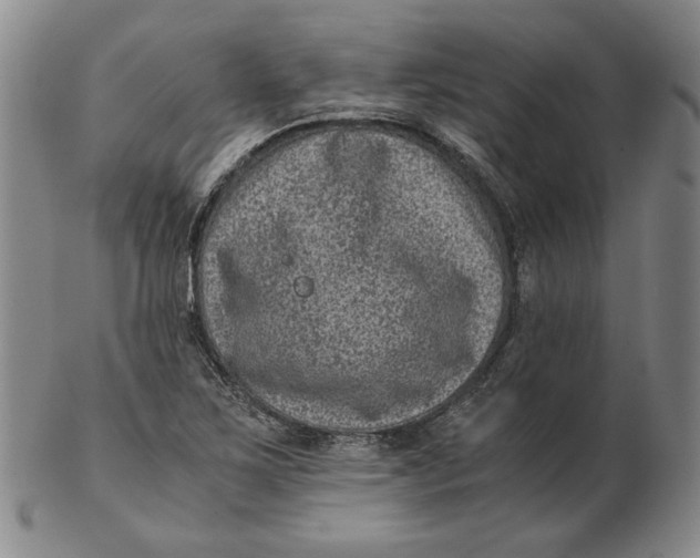 X0000102341267200808221623