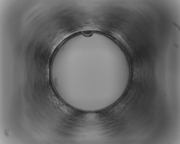 X0000102341268200808221623