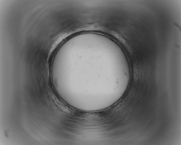 X0000102341270200808221623