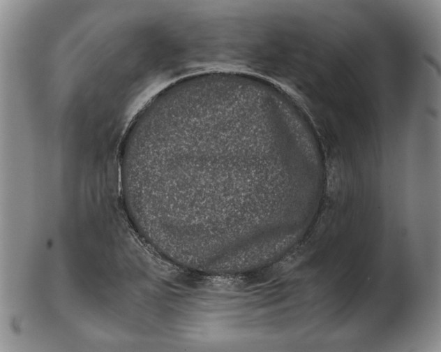 X0000102341271200808221623