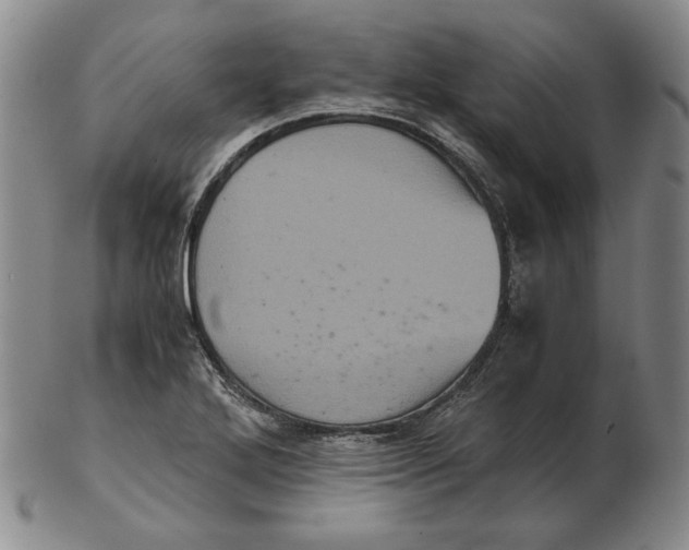 X0000102341272200808221623