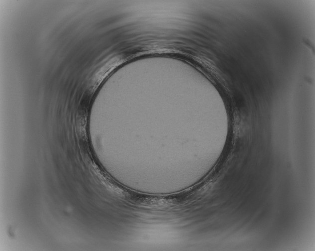 X0000102341273200808221623